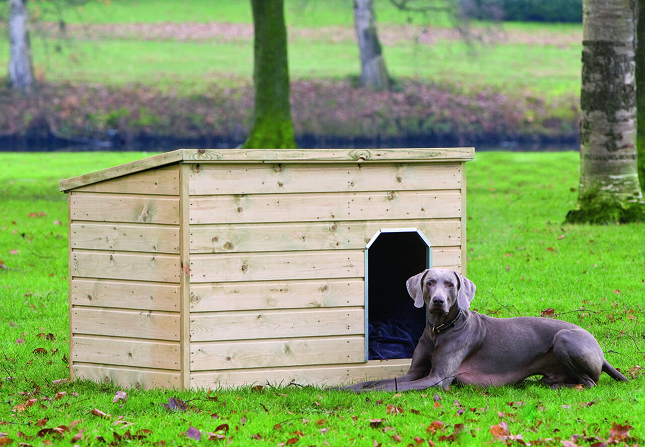 Hundeh&uuml;tte Teckel
