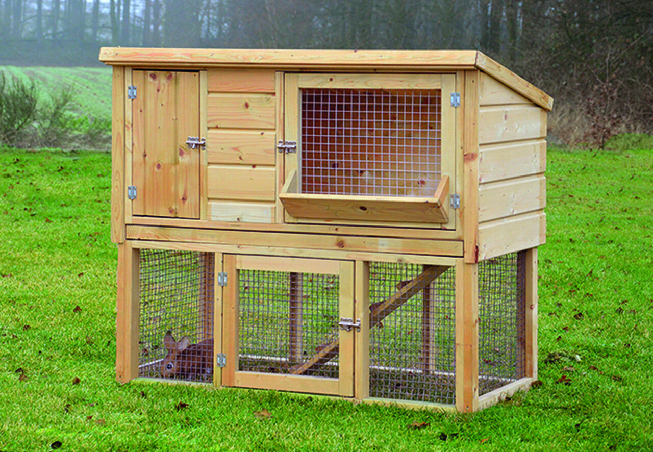 Kaninchenstall Zijdehoen
