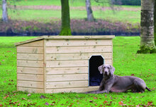 Hundeh&uuml;tte Teckel