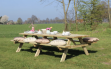 Picknicktisch Paris Impr&auml;gniertes Kiefernholz 300 x 154 x 74 cm (10-12 Personen)