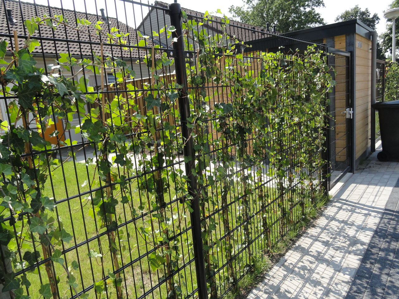 Dubbelstaafmat 8/6/8 mm x 250 cm - 2,5 meter breed 