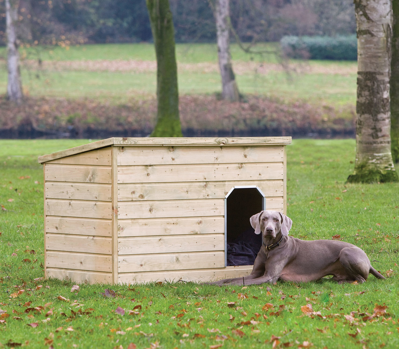 Hundehütte Teckel