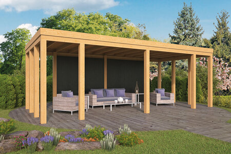 DHZ Plat dak Brammelo zwart