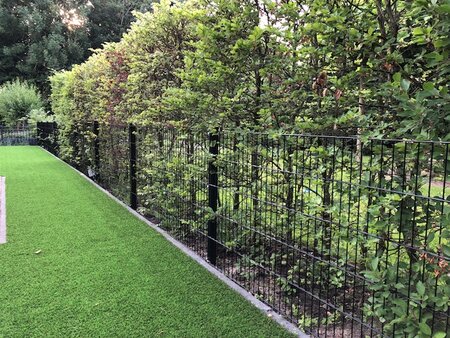 Doppelstabmattenzaun Excellent | 2.5 Meter breit