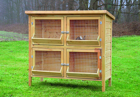 Kaninchenstall Rijnlander